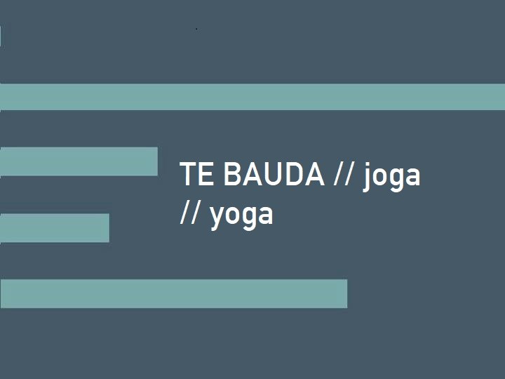 TE BAUDA // joga // yoga