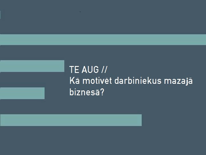 TE aug // Kā motivēt darbiniekus mazajā biznesā?