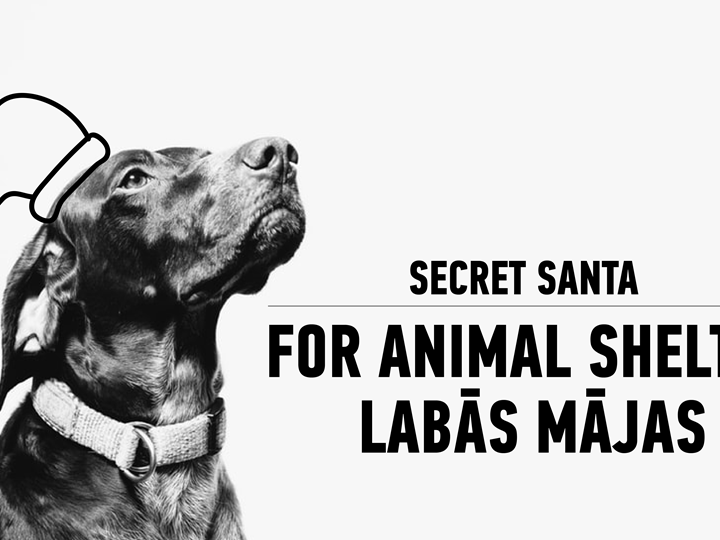 Secret Santa donation for Animal shelter Labās mājas